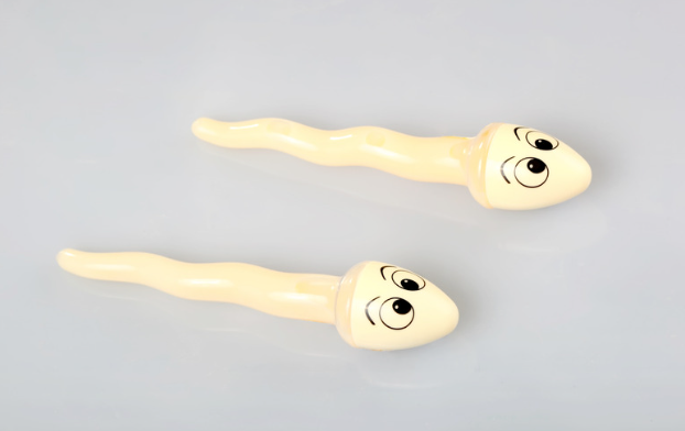Zwei Spermien mit gezeichnetem Gesicht