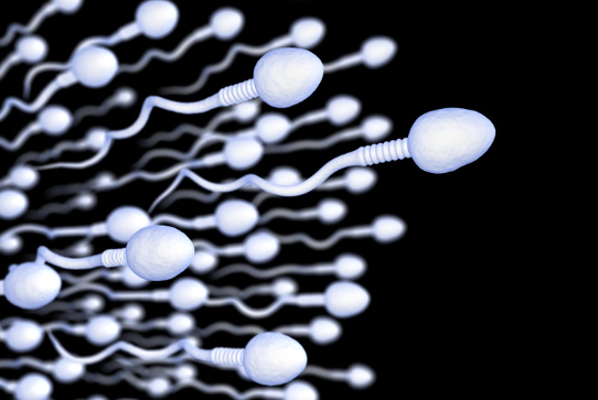 Spermien mit Kopf vor einem schwarzen Hintergund