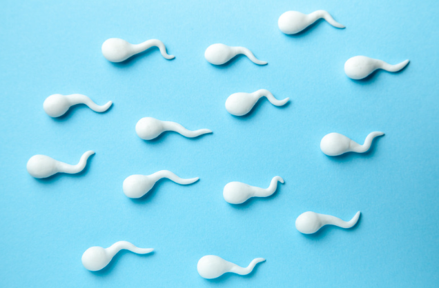 Weiße Spermien vor blauem Hintergrund